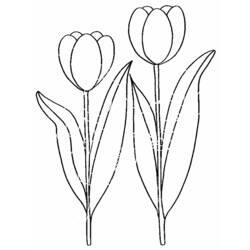 Página para colorir: Tulipa (Natureza) #161614 - Páginas para Colorir Imprimíveis Gratuitamente