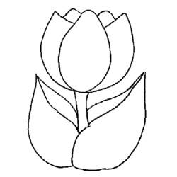 Página para colorir: Tulipa (Natureza) #161621 - Páginas para Colorir Imprimíveis Gratuitamente