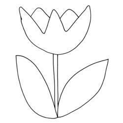 Página para colorir: Tulipa (Natureza) #161628 - Páginas para Colorir Imprimíveis Gratuitamente