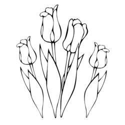 Página para colorir: Tulipa (Natureza) #161632 - Páginas para Colorir Imprimíveis Gratuitamente