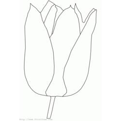 Página para colorir: Tulipa (Natureza) #161633 - Páginas para Colorir Imprimíveis Gratuitamente