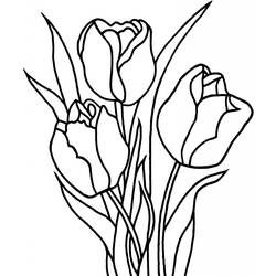 Página para colorir: Tulipa (Natureza) #161634 - Páginas para Colorir Imprimíveis Gratuitamente