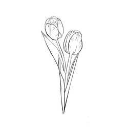 Página para colorir: Tulipa (Natureza) #161635 - Páginas para Colorir Imprimíveis Gratuitamente