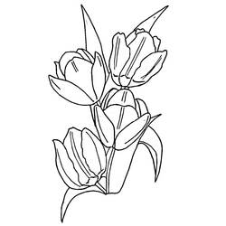 Página para colorir: Tulipa (Natureza) #161636 - Páginas para Colorir Imprimíveis Gratuitamente