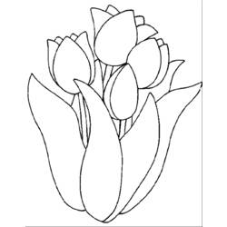 Página para colorir: Tulipa (Natureza) #161642 - Páginas para Colorir Imprimíveis Gratuitamente