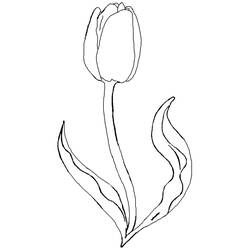 Página para colorir: Tulipa (Natureza) #161651 - Páginas para Colorir Imprimíveis Gratuitamente