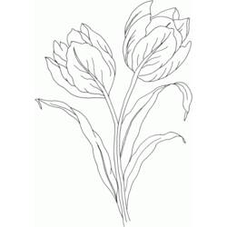 Página para colorir: Tulipa (Natureza) #161655 - Páginas para Colorir Imprimíveis Gratuitamente
