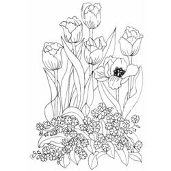 Página para colorir: Tulipa (Natureza) #161669 - Páginas para Colorir Imprimíveis Gratuitamente