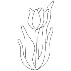 Página para colorir: Tulipa (Natureza) #161677 - Páginas para Colorir Imprimíveis Gratuitamente