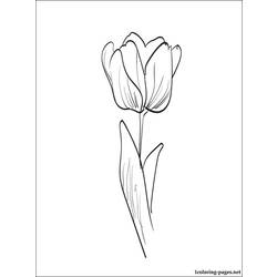 Página para colorir: Tulipa (Natureza) #161688 - Páginas para Colorir Imprimíveis Gratuitamente