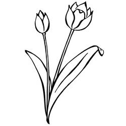 Página para colorir: Tulipa (Natureza) #161697 - Páginas para Colorir Imprimíveis Gratuitamente