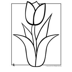 Página para colorir: Tulipa (Natureza) #161699 - Páginas para Colorir Imprimíveis Gratuitamente