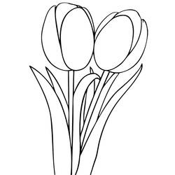 Página para colorir: Tulipa (Natureza) #161700 - Páginas para Colorir Imprimíveis Gratuitamente