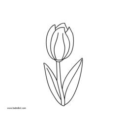 Página para colorir: Tulipa (Natureza) #161723 - Páginas para Colorir Imprimíveis Gratuitamente