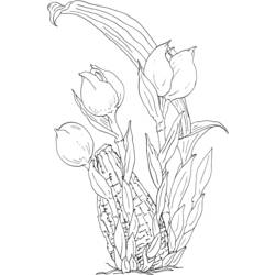 Página para colorir: Tulipa (Natureza) #161737 - Páginas para Colorir Imprimíveis Gratuitamente