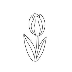 Página para colorir: Tulipa (Natureza) #161767 - Páginas para Colorir Imprimíveis Gratuitamente