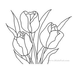 Página para colorir: Tulipa (Natureza) #161768 - Páginas para Colorir Imprimíveis Gratuitamente