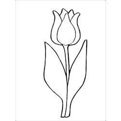 Página para colorir: Tulipa (Natureza) #161791 - Páginas para Colorir Imprimíveis Gratuitamente
