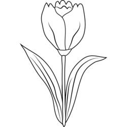 Página para colorir: Tulipa (Natureza) #161793 - Páginas para Colorir Imprimíveis Gratuitamente