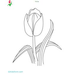 Página para colorir: Tulipa (Natureza) #161797 - Páginas para Colorir Imprimíveis Gratuitamente