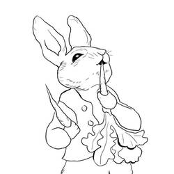 Desenhos para colorir: Peter Rabbit - Páginas para Colorir Imprimíveis Gratuitamente