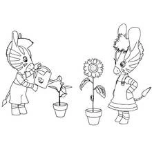 Desenhos para colorir: Zou - Páginas para Colorir Imprimíveis Gratuitamente