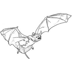 Página para colorir: Vampiro (Personagens de Fantasia e Aventura) #85965 - Páginas para Colorir Imprimíveis Gratuitamente