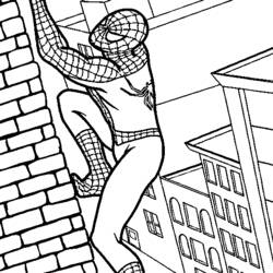 Página para colorir: Homem Aranha (Super heroi) #78647 - Páginas para Colorir Imprimíveis Gratuitamente