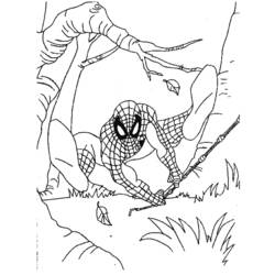 Página para colorir: Homem Aranha (Super heroi) #78750 - Páginas para Colorir Imprimíveis Gratuitamente