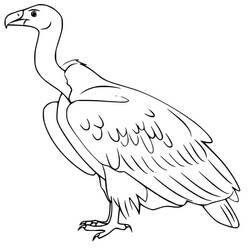 Desenho de Abutre em pé com as asas dobradas para colorir
