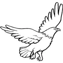 Águia - Desenhos para colorir gratuitos