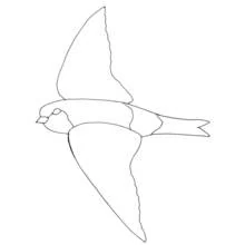 Desenho de Andorinha voando com as asas abertas para colorir