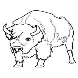 Desenho de Bisão em pé com juba espessa para colorir Desenho de Bisão em pé com juba espessa para colorir
