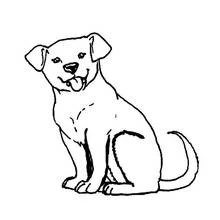 Desenho de Cão sentado com a língua de fora para colorir