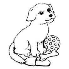 Desenho de Cão sentado com uma bola, um osso e um chinelo para colorir
