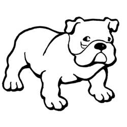 Desenho de Cão em pé com rosto rugoso para colorir