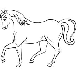 Desenho de Cavalo caminhando com crina ondulada para colorir