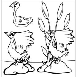 Desenho de Cisnes em pé sobre pedras perto de juncos para colorir