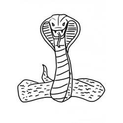 Cobra - Desenhos para colorir gratuitos