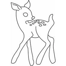 Desenho de Corça filhote com dorso pintado para colorir