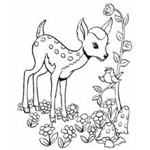 Desenho de Corça em pé entre flores com um pássaro para colorir