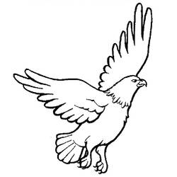 Falcão - Desenhos para colorir gratuitos
