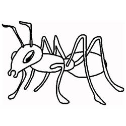 Formiga - Desenhos para colorir gratuitos