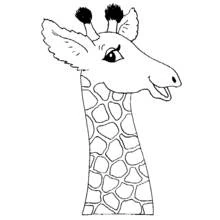 Desenho de Girafa cabeça e pescoço longo para colorir