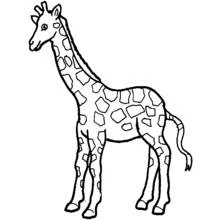 Desenho de Girafa em pé calmamente para colorir