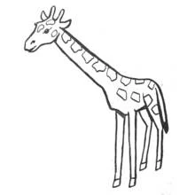 Desenho de Girafa em pé com pescoço longo para colorir
