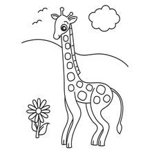 Desenho de Girafa em pé numa paisagem simples para colorir