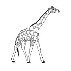 Desenho de Girafa de perfil com cauda pendurada para colorir