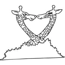 Desenho de Girafa casal formando um coração com os pescoços para colorir