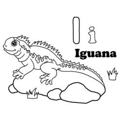 Iguana - Desenhos para colorir gratuitos